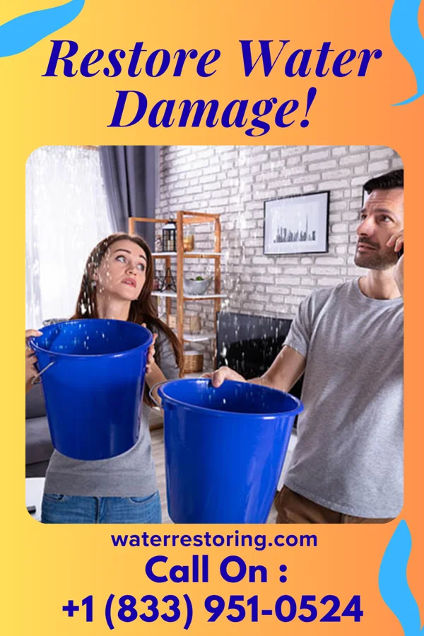 water restoration Pro Water Removal & Sons Dedham