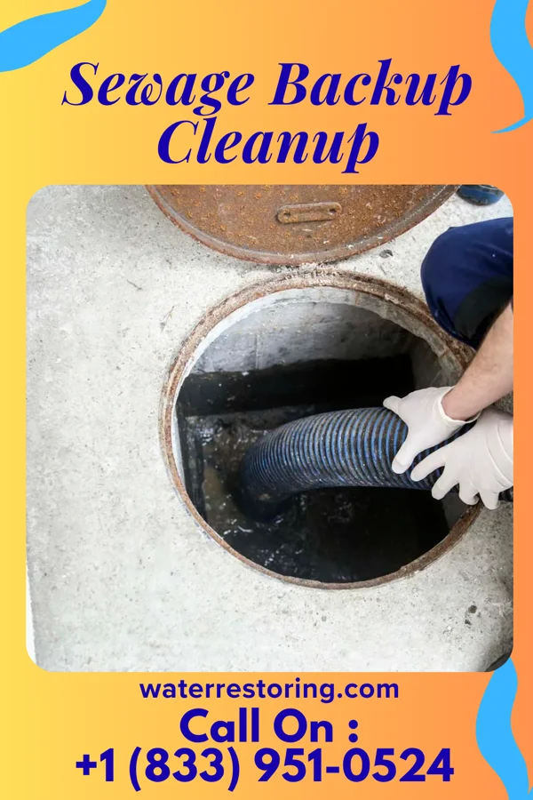 Sewage Backup Cleanup in Dedham, IA