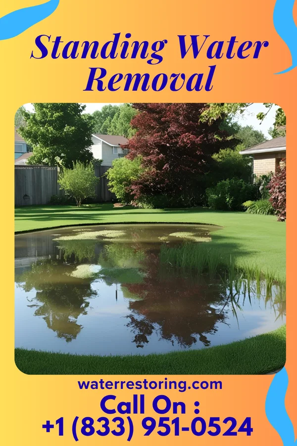 Standing Water Removal in Dedham, IA